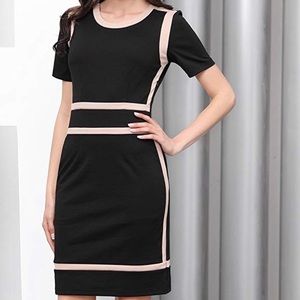Women's Scoop Neck Busniess Bodycon Dress
